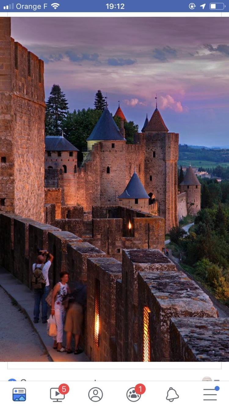 L'Oree De La Cite Carcassone Exterior photo